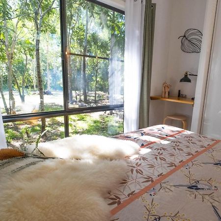 Airlie Beach Eco Cabins - Adults Only Eksteriør bilde