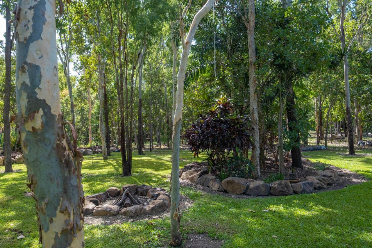 Airlie Beach Eco Cabins - Adults Only Eksteriør bilde