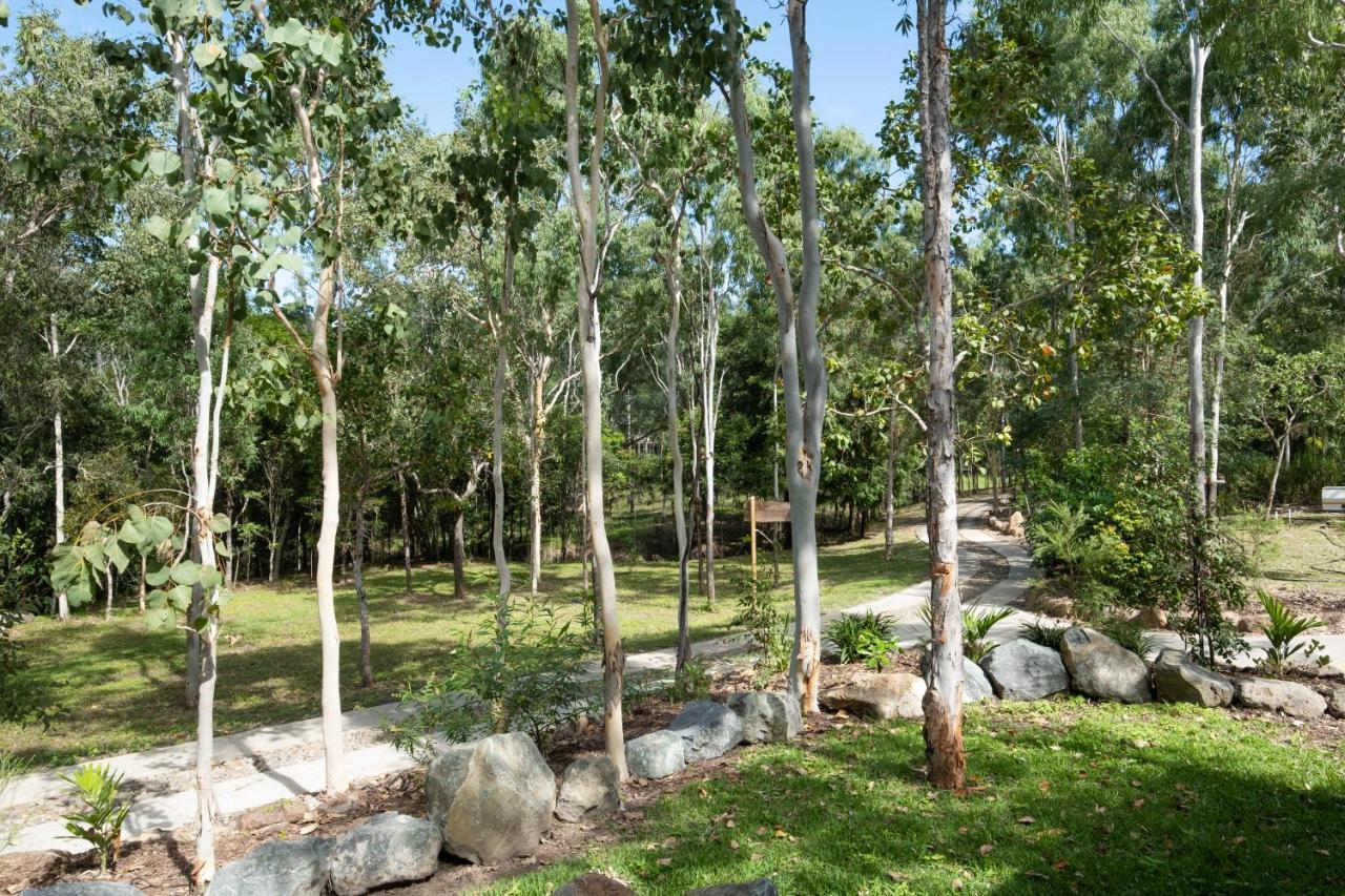Airlie Beach Eco Cabins - Adults Only Eksteriør bilde