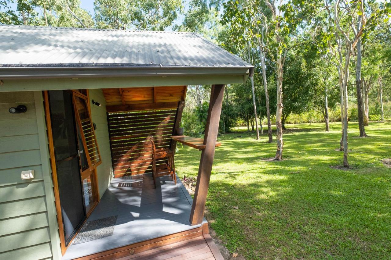 Airlie Beach Eco Cabins - Adults Only Eksteriør bilde