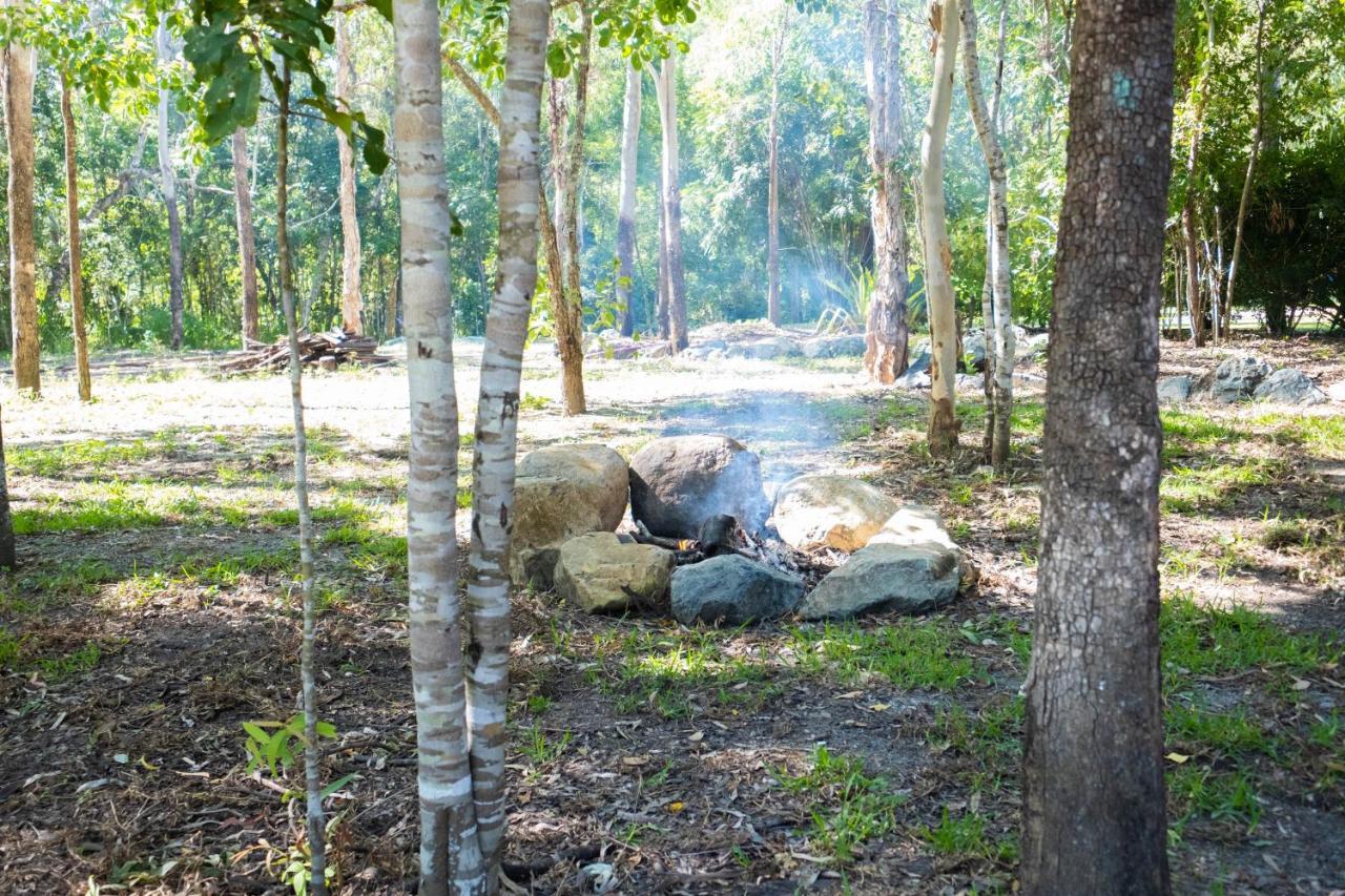 Airlie Beach Eco Cabins - Adults Only Eksteriør bilde