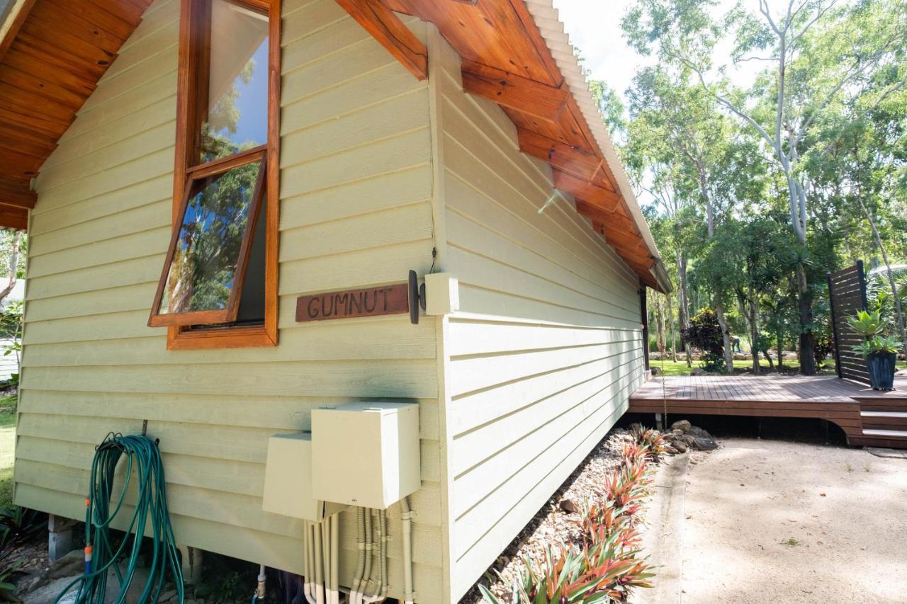 Airlie Beach Eco Cabins - Adults Only Eksteriør bilde