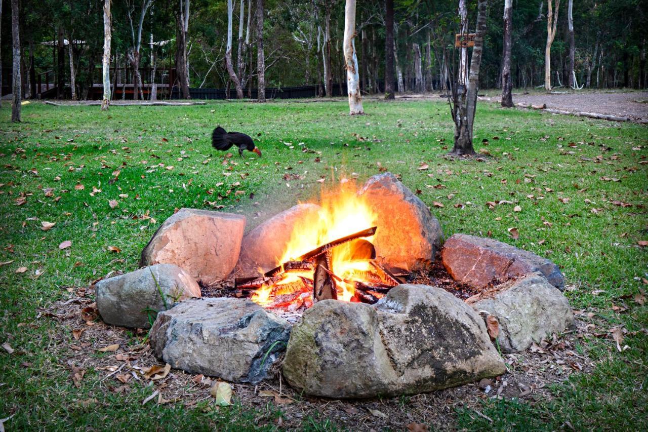 Airlie Beach Eco Cabins - Adults Only Eksteriør bilde