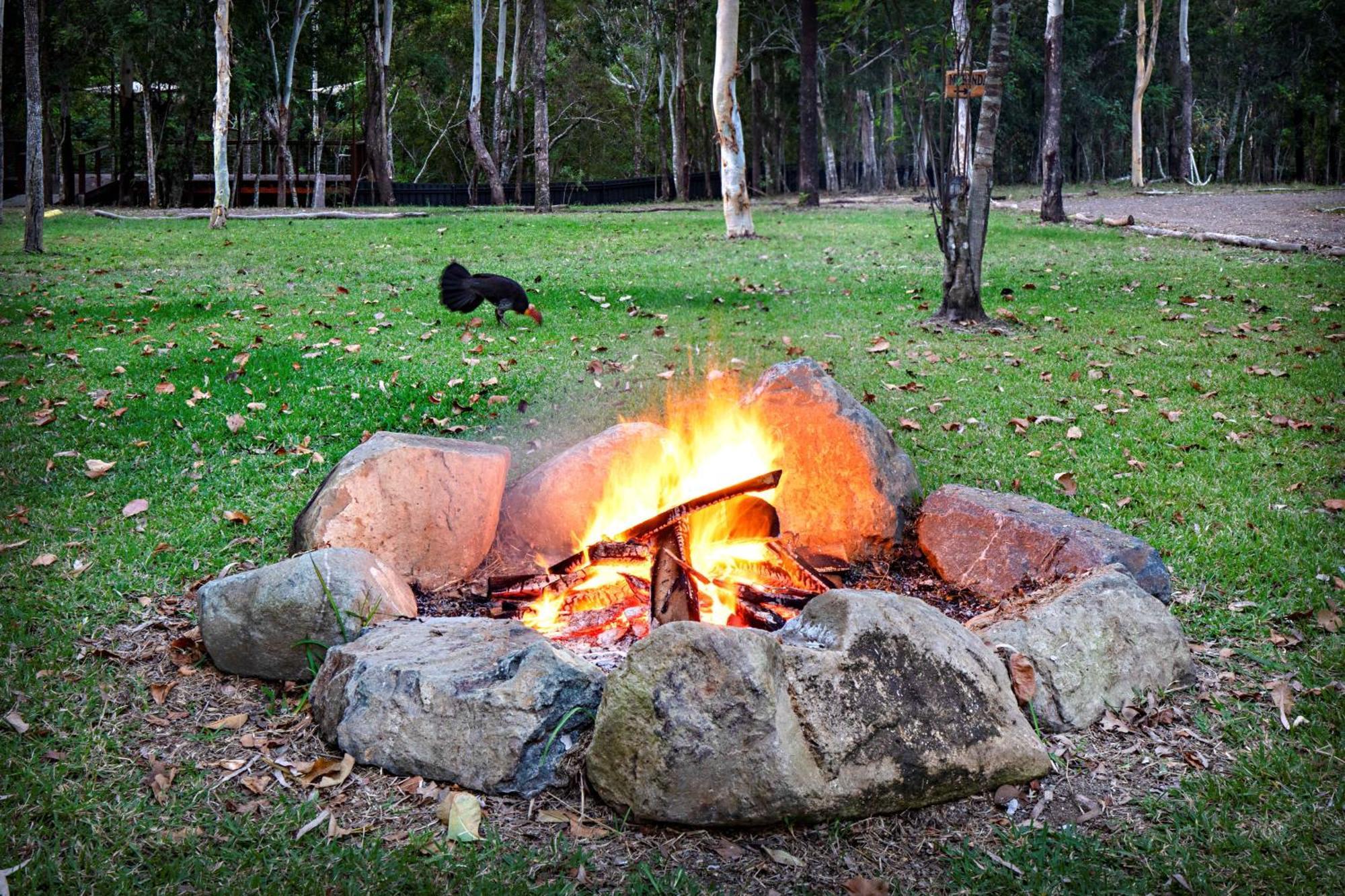 Airlie Beach Eco Cabins - Adults Only Eksteriør bilde